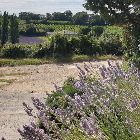 Le Clos Du Grand Chene - Gites 4 Etoiles - Saint-Marcel-d'Ardeche ภายนอก รูปภาพ