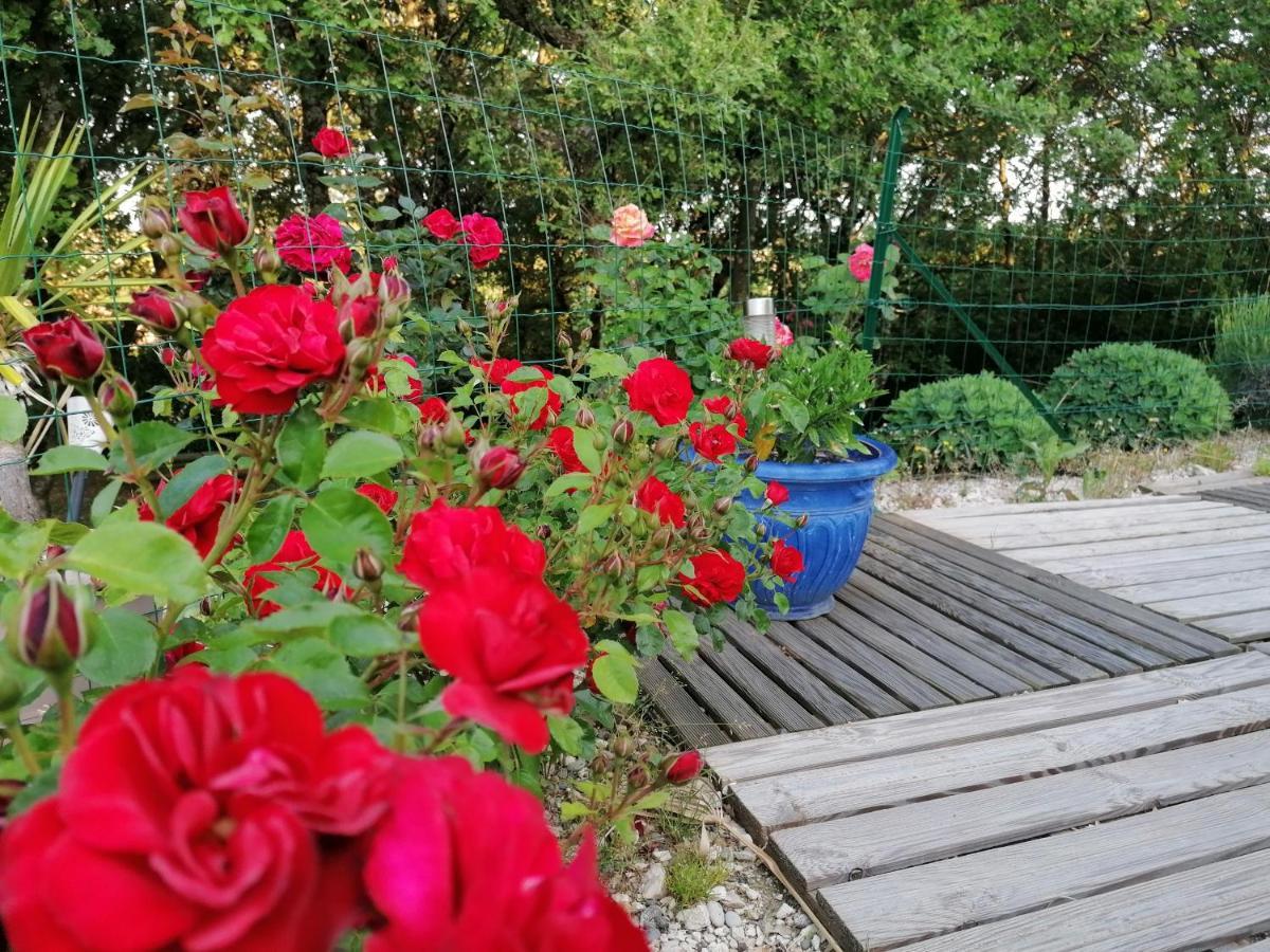 Le Clos Du Grand Chene - Gites 4 Etoiles - Saint-Marcel-d'Ardeche ภายนอก รูปภาพ