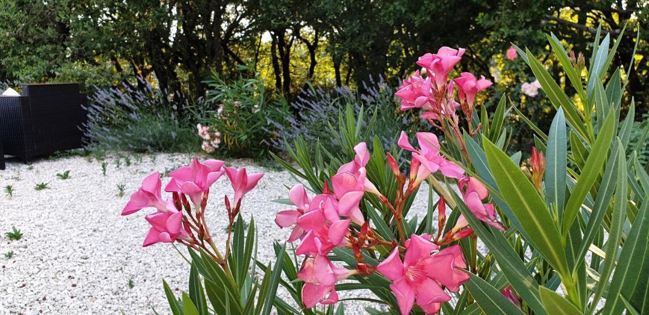 Le Clos Du Grand Chene - Gites 4 Etoiles - Saint-Marcel-d'Ardeche ภายนอก รูปภาพ